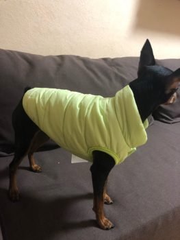 Abrigo para chihuahua calentito photo review
