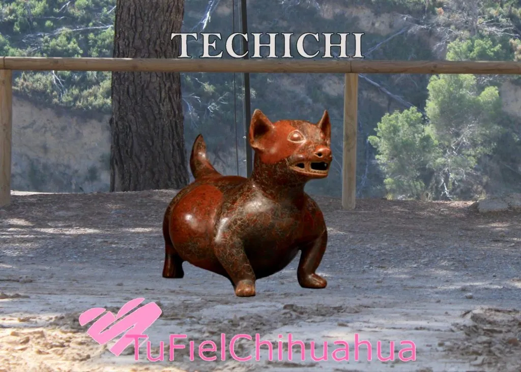 ¿Cuál es el origen y la evolución del perro chihuahua? 3 evolución de techichi a chihuahueño