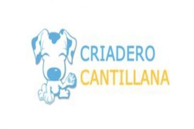 Criadero Cantillana 5 criadero cantillana