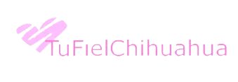 Tu Fiel Chihuahua