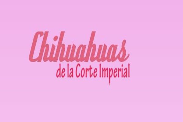 Chihuahuas de la corte imperial